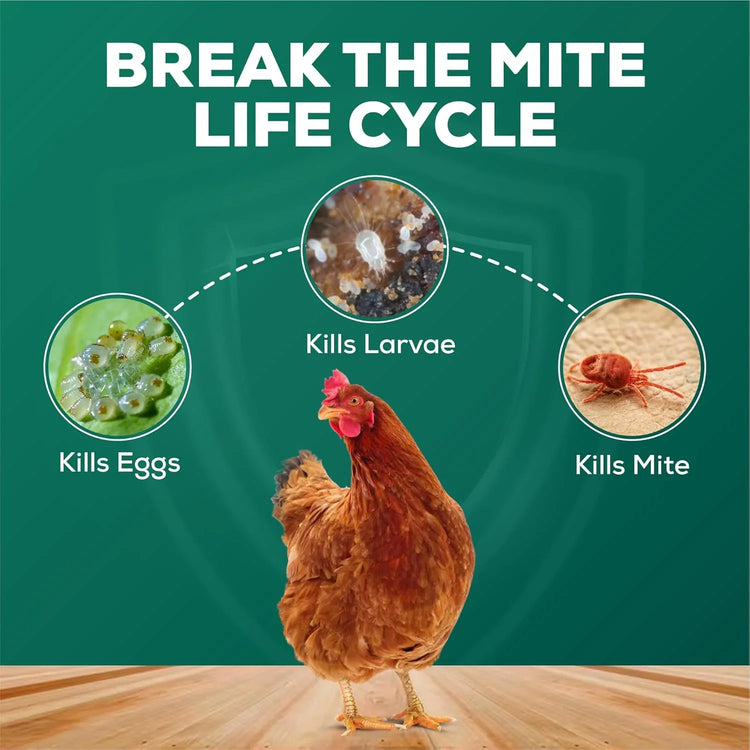 Chicken Healthcare