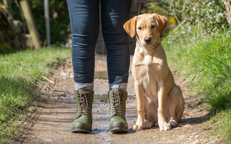 Country & Equestrian Footwear