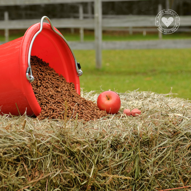 Horse Feed