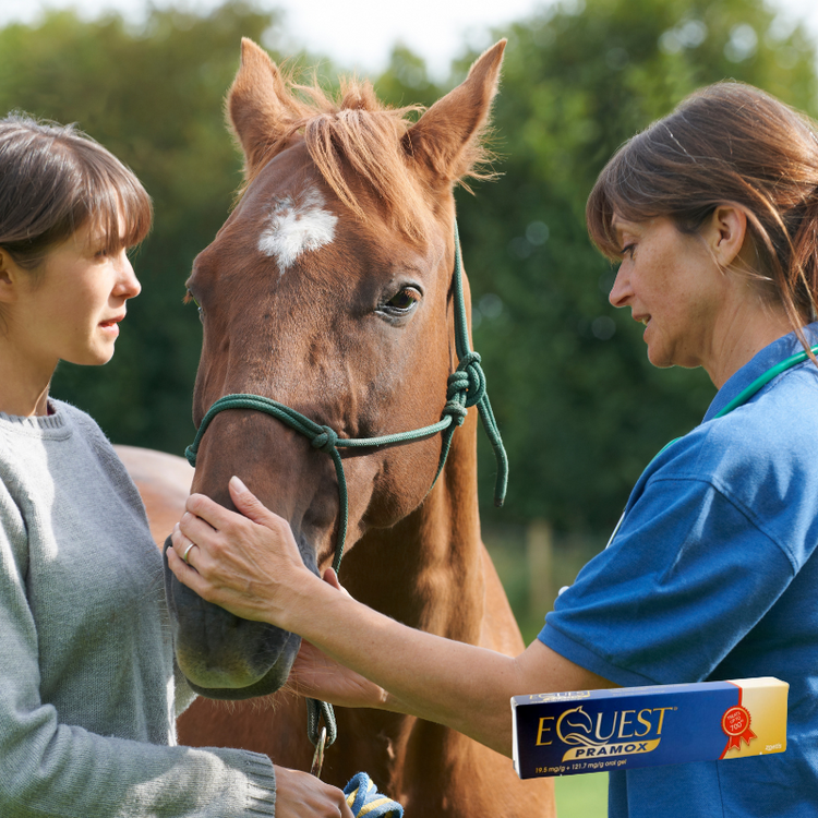 Horse Parasite Control
