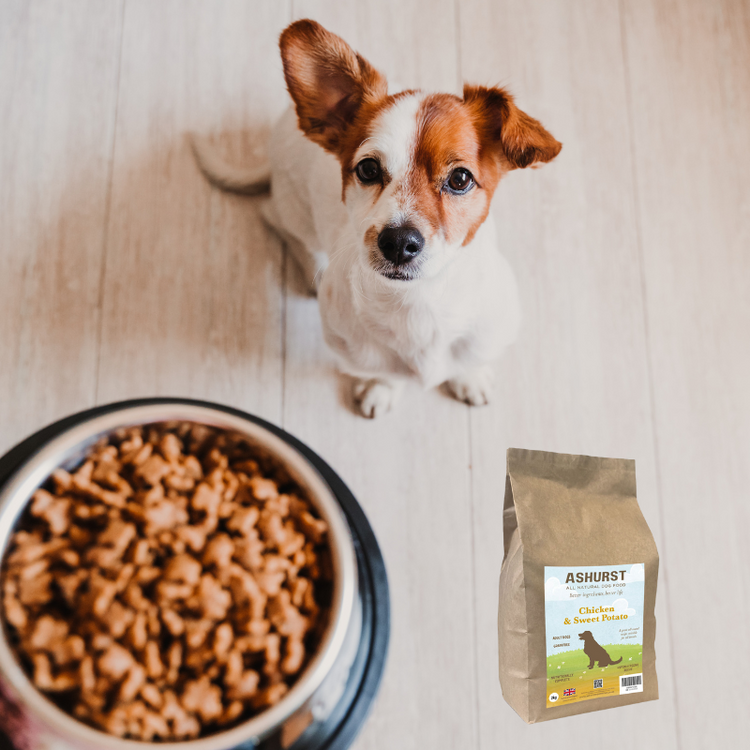 Dog Food