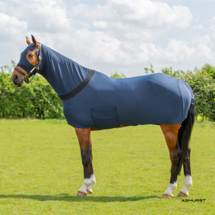 Horse Rugs
