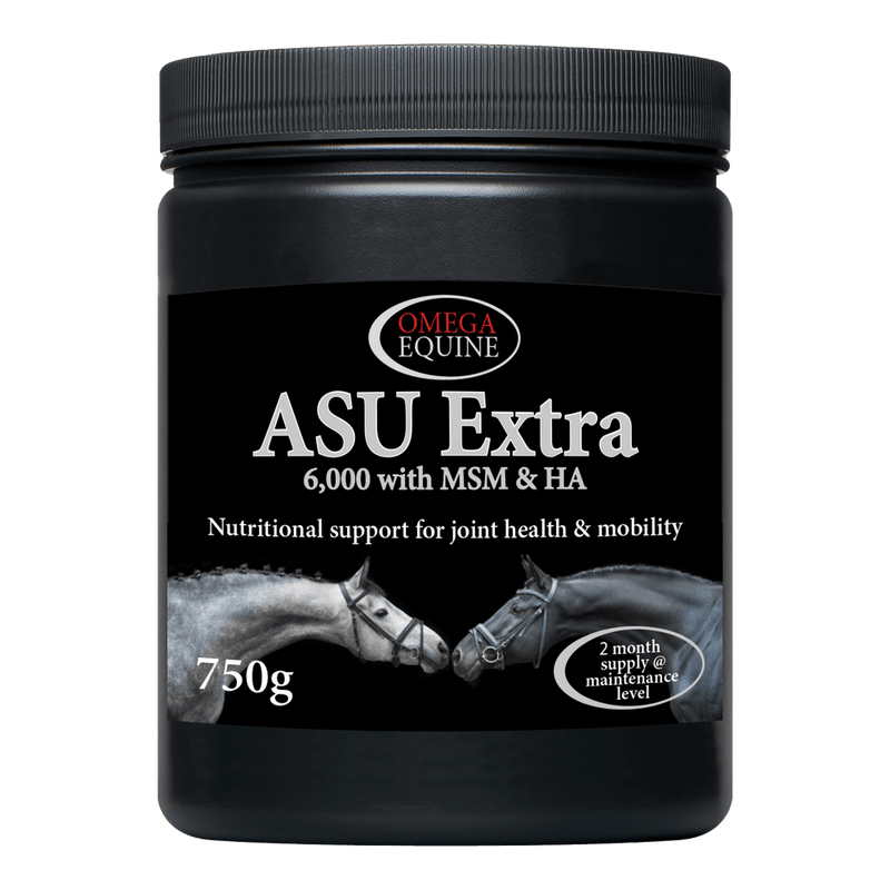 Load image into Gallery viewer, ASU Extra - Ashurst Equestrian & Country
