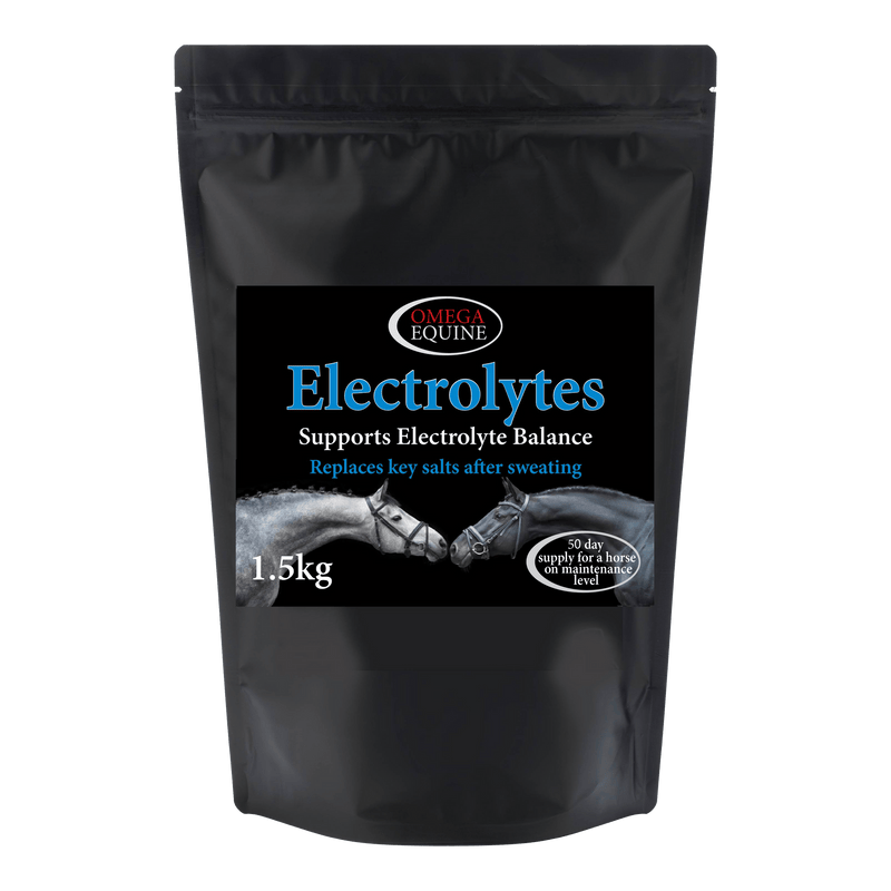 Load image into Gallery viewer, Electrolytes - Ashurst Equestrian & Country