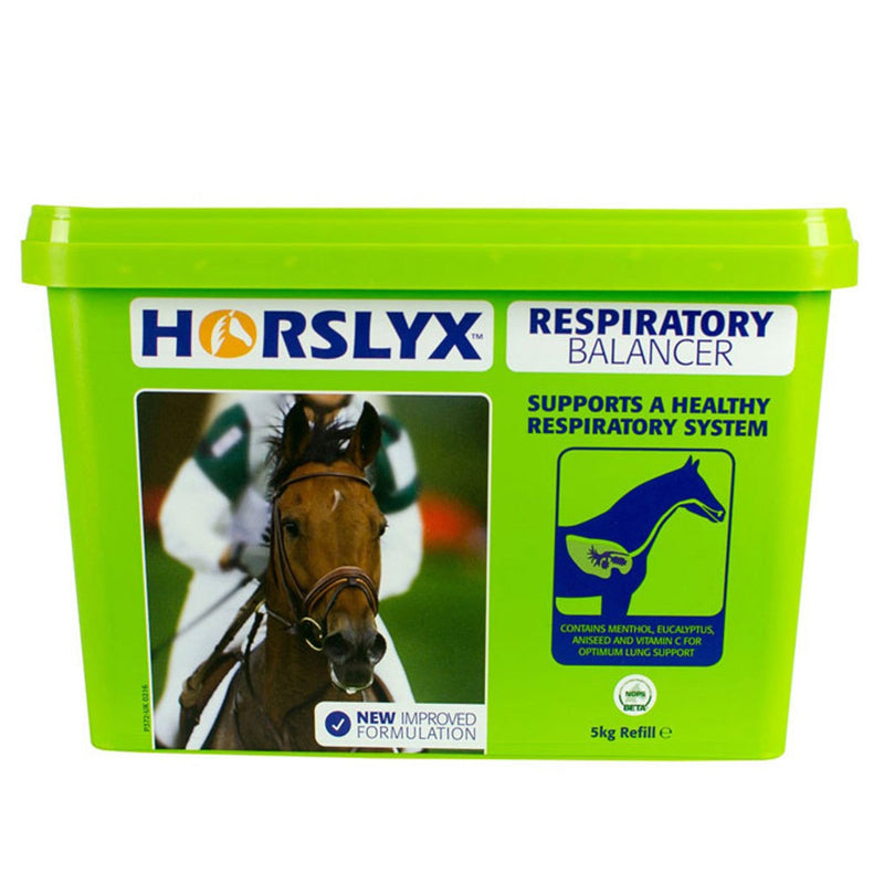 Load image into Gallery viewer, Horslyx Respiratory Balancer Lick - Ashurst Equestrian & Country