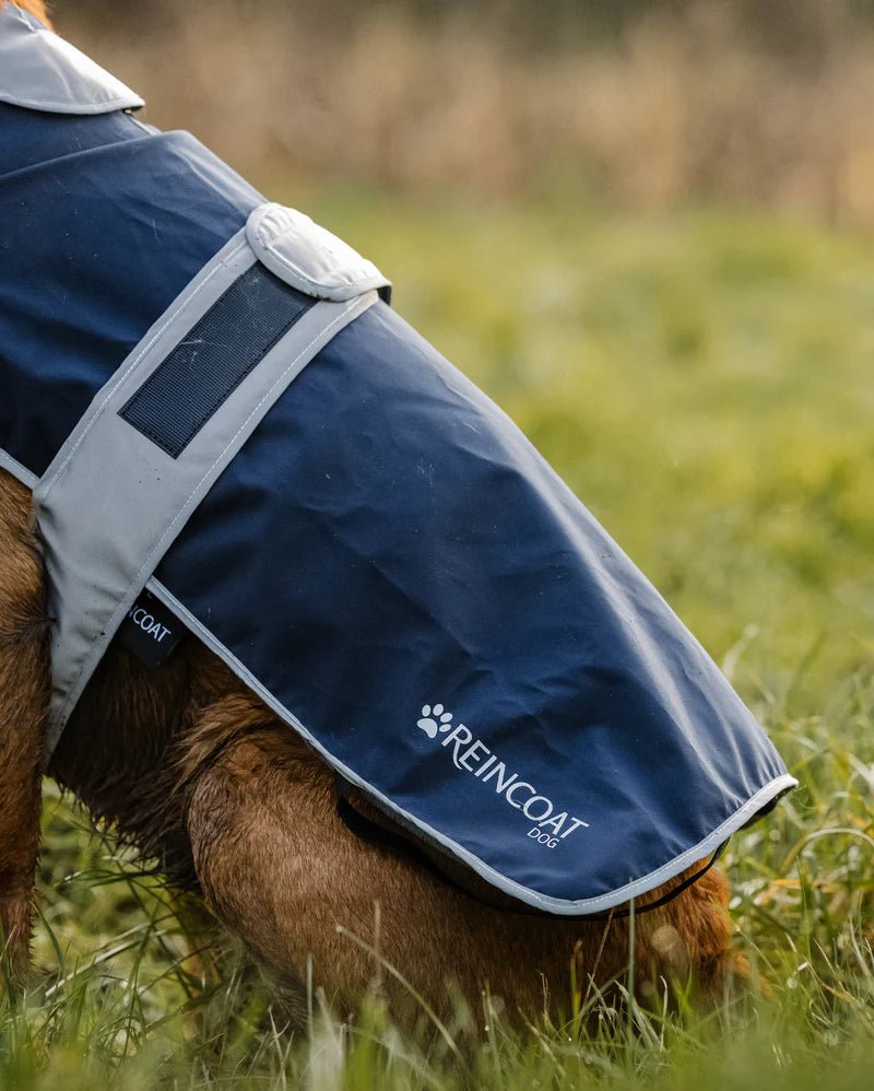 Load image into Gallery viewer, Reincoat Dog Coat - Ashurst Equestrian & Country