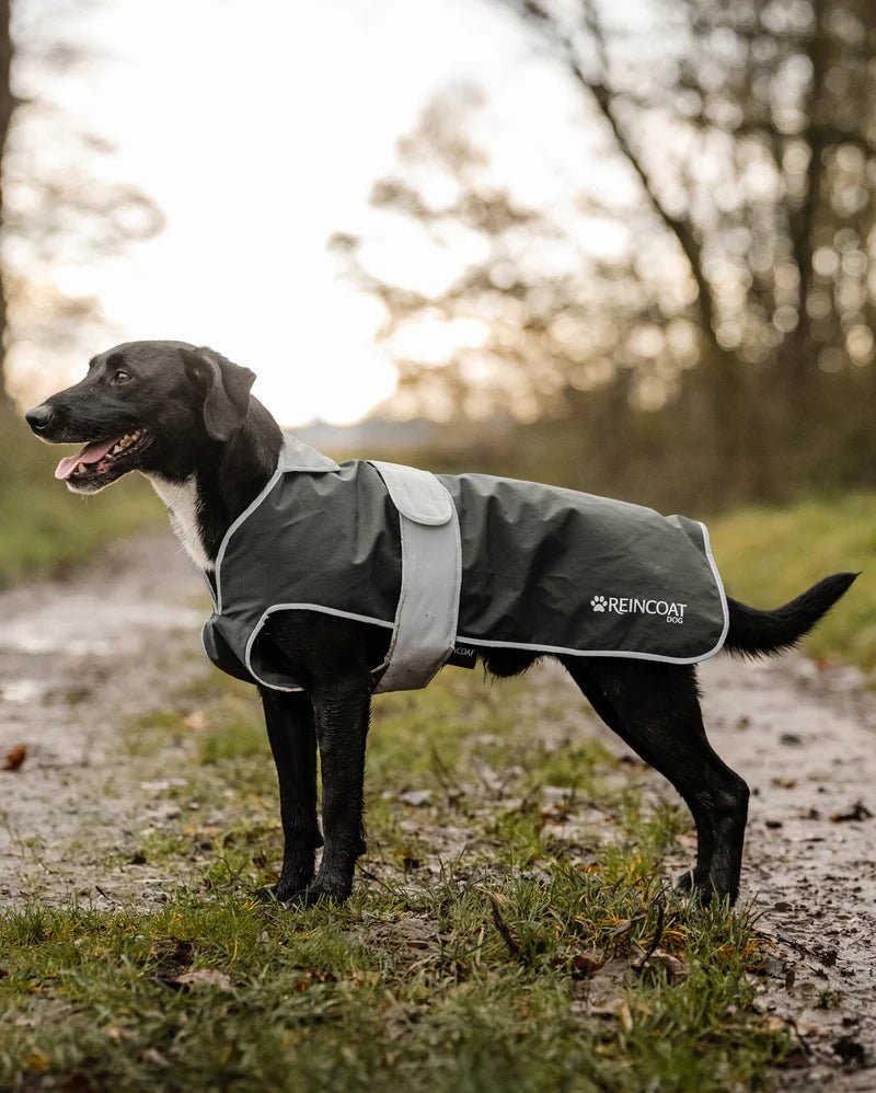 Load image into Gallery viewer, Reincoat Dog Coat - Ashurst Equestrian & Country