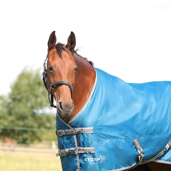 Autumn Ready: Your Equestrian & Country Checklist for a Smooth Season