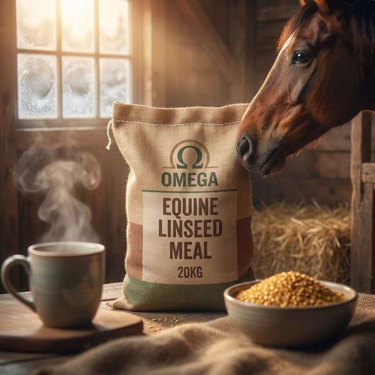 Benefits of Using Omega Equine Linseed Meal 20kg in Cold Winter Months - Ashurst Equestrian & Country