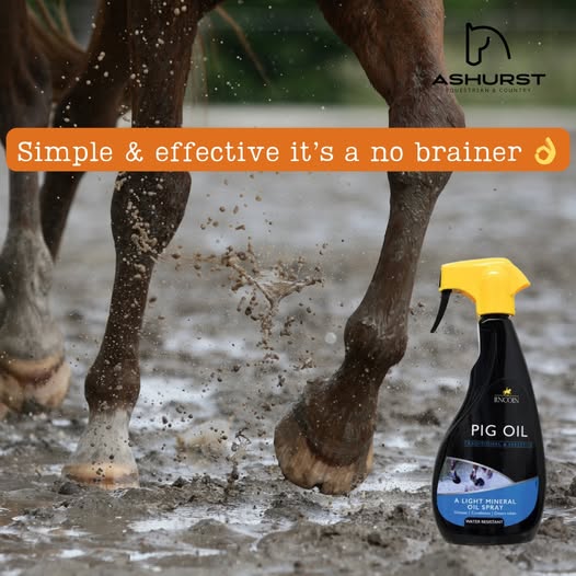 🐴 The Benefits of Pig Oil for Horses’ Legs in Wet Winter Conditions 🌧️