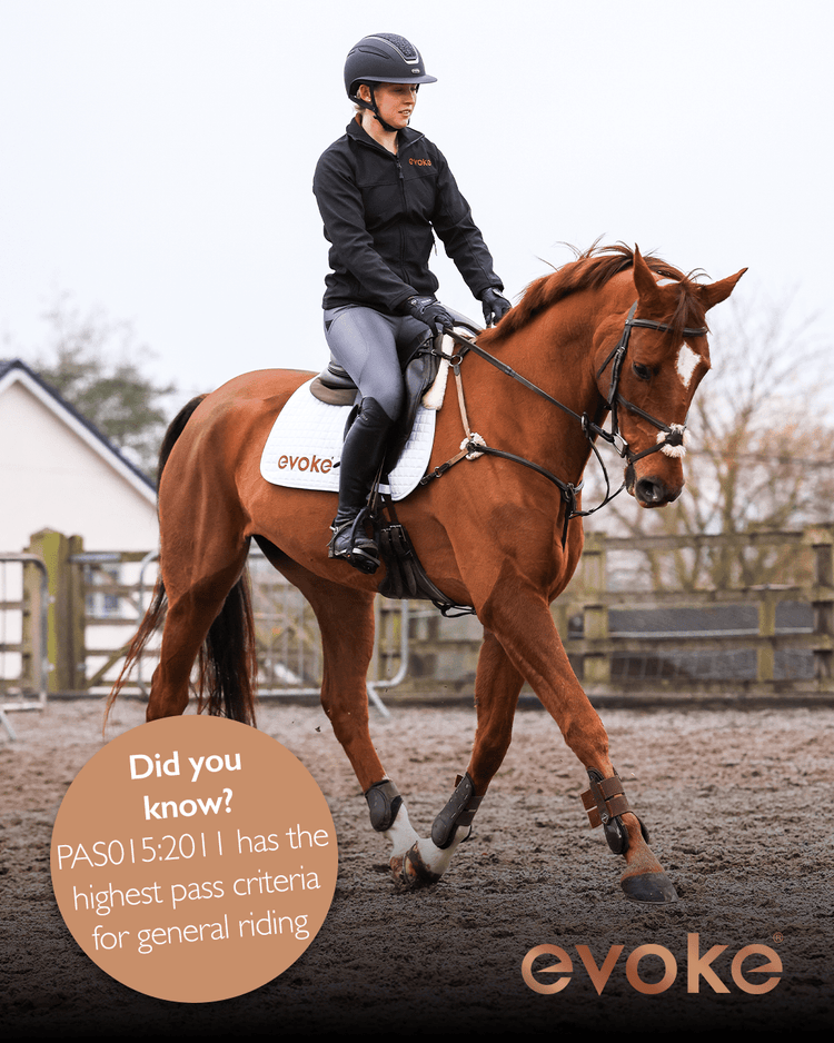 Top Tip #4 - Ashurst Equestrian & Country