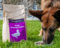 Why Super Premium Dog Food Will Change the Way You Feed Your Best Friend - Ashurst Equestrian & Country