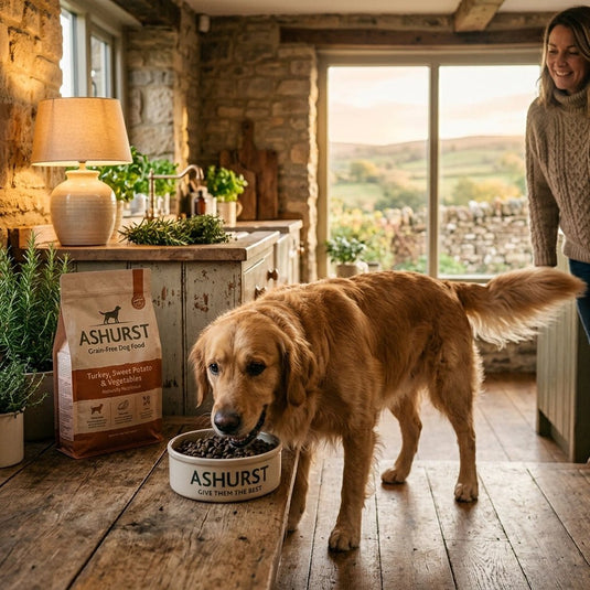 Why Your Pup Will Love Ashurst Grain-Free Dog Food (and You Will Too!) - Ashurst Equestrian & Country