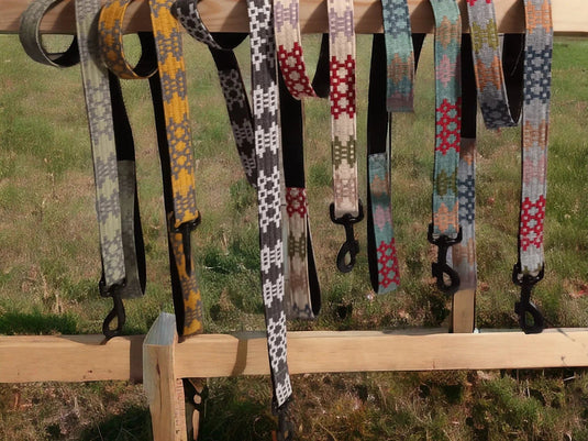 Dog Coats & Collars - Ashurst Equestrian & Country