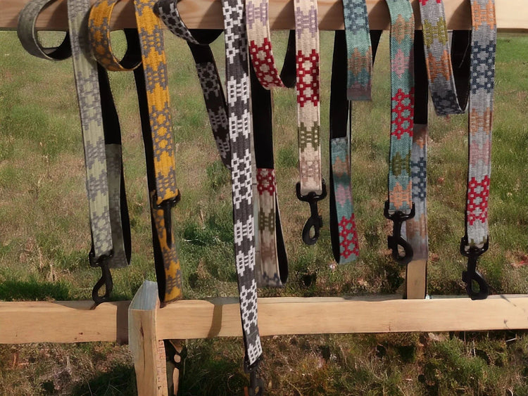 Dog Coats & Collars - Ashurst Equestrian & Country