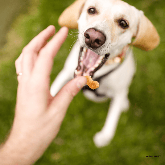 Dog Treats - Ashurst Equestrian & Country