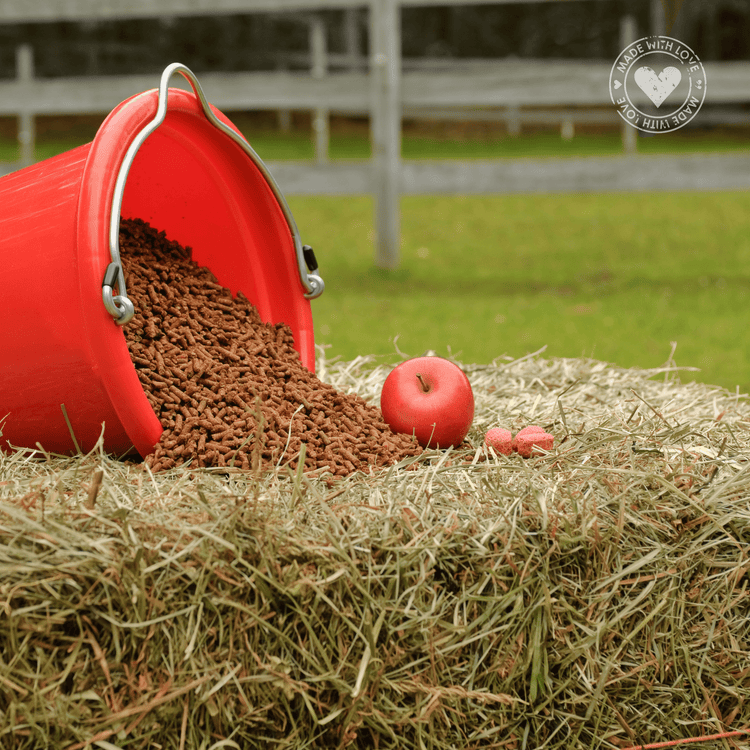 Horse Feed - Ashurst Equestrian & Country