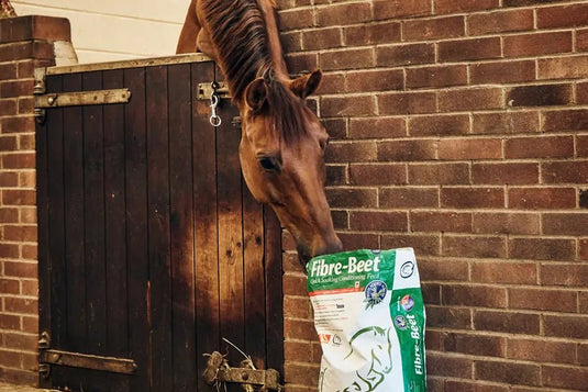 Horse Feed - Ashurst Equestrian & Country