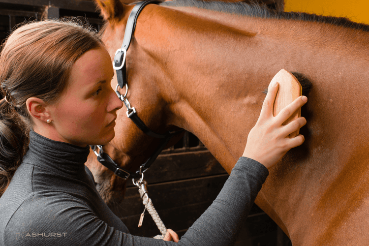 Horse Healthcare - Ashurst Equestrian & Country