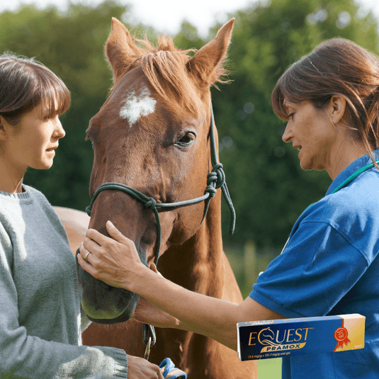 Horse Parasite Control - Ashurst Equestrian & Country