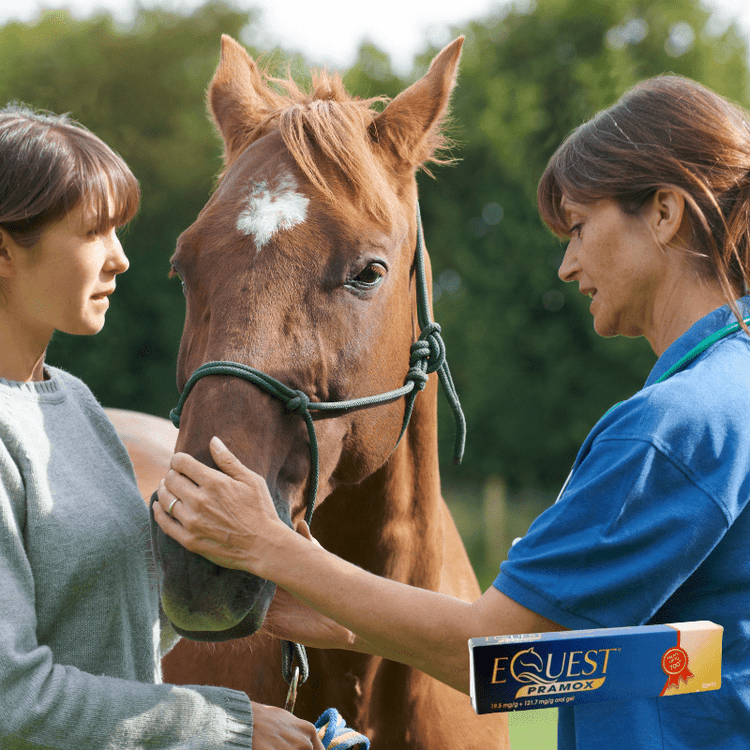 Horse Parasite Control - Ashurst Equestrian & Country