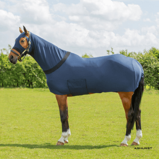 Horse Rugs - Ashurst Equestrian & Country