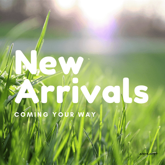 New Arrivals - Ashurst Equestrian & Country