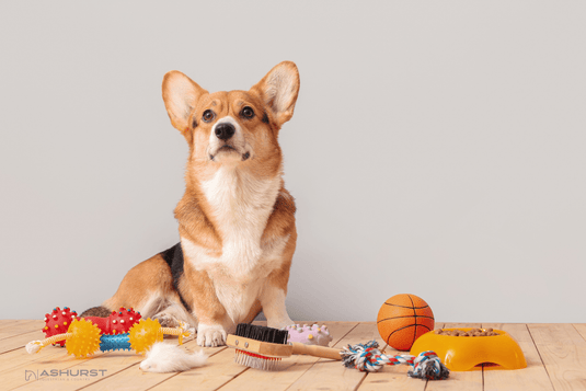 Pet Accessories - Ashurst Equestrian & Country