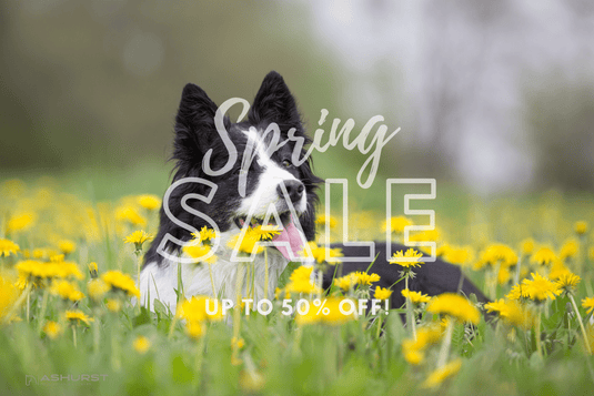Spring Clearance - Dog - Ashurst Equestrian & Country