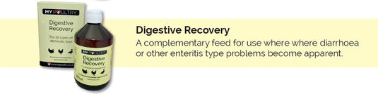 My Poultry Digestive Recovery