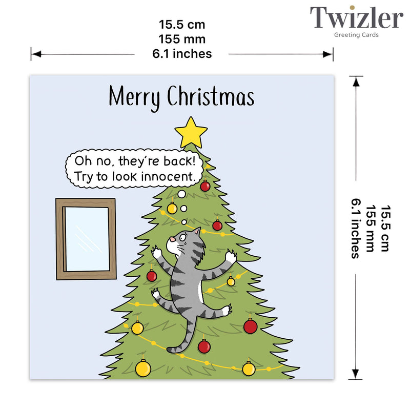 Load image into Gallery viewer, Funny Christmas Card - Innocent Cat
