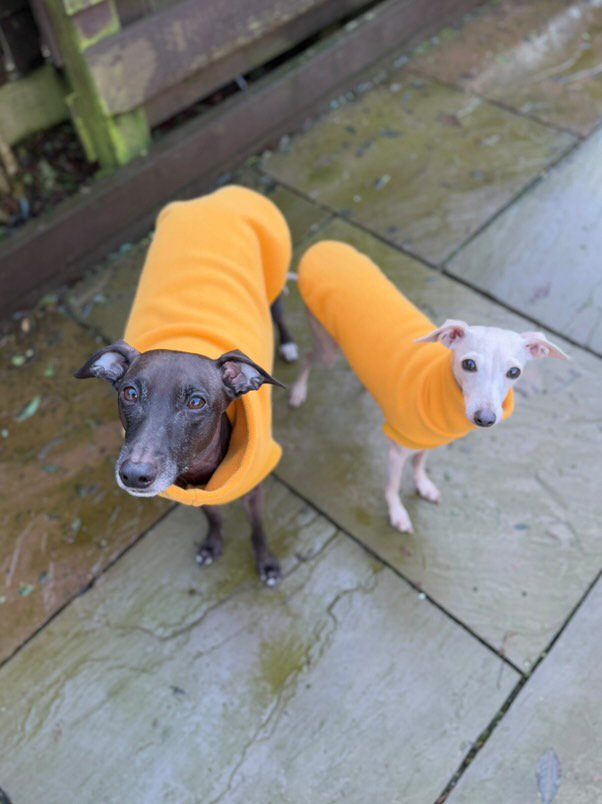 Load image into Gallery viewer, Open-Leg Fleece Vest - Yellow
