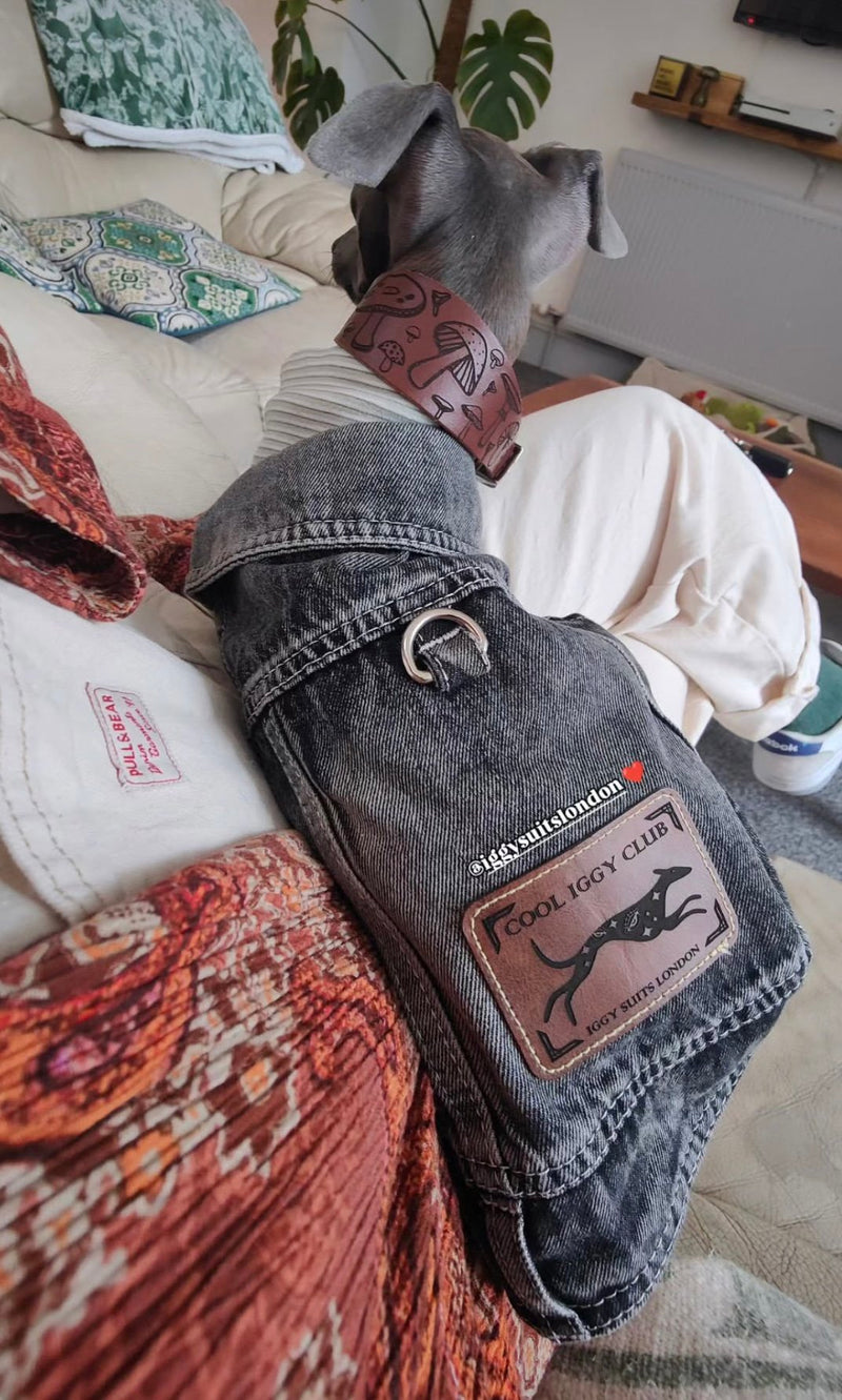 Load image into Gallery viewer, Denim Jacket - Cool Iggy Club
