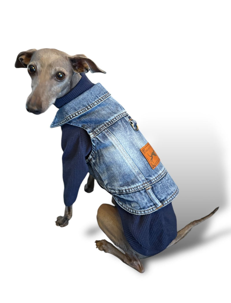 Load image into Gallery viewer, Denim Jacket - Cool Iggy Club
