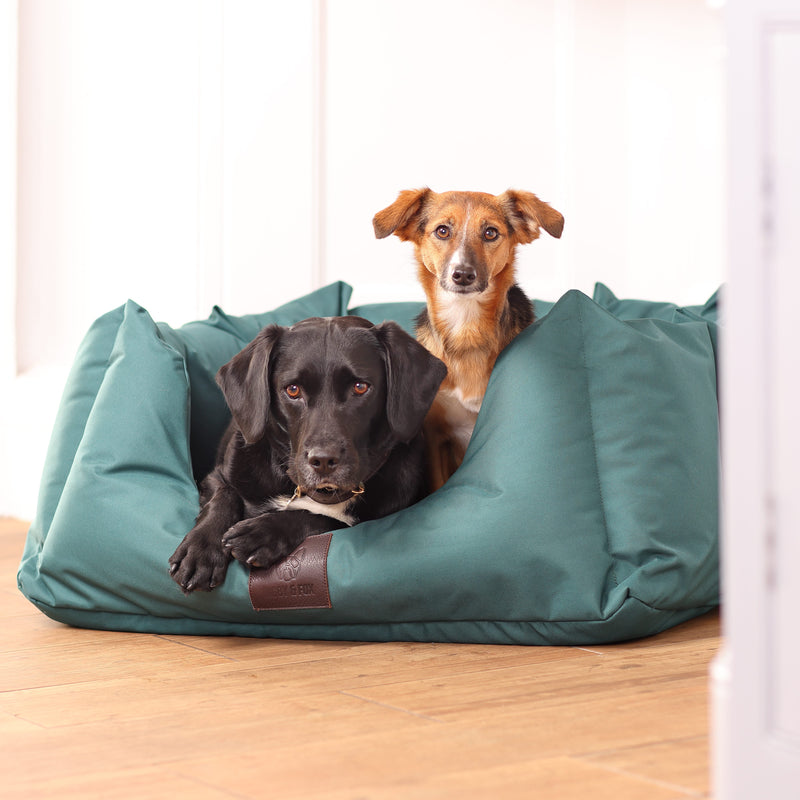 Load image into Gallery viewer, Digby &amp; Fox Nest Dog Bed
