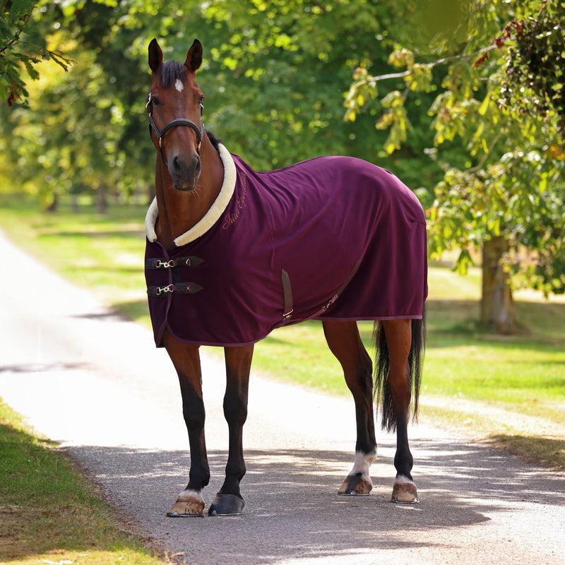 Load image into Gallery viewer, 10227 - Shires Deluxe Fleece Rug - Ashurst Equestrian &amp; Country
