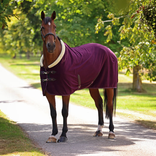 10227 - Shires Deluxe Fleece Rug - Ashurst Equestrian & Country