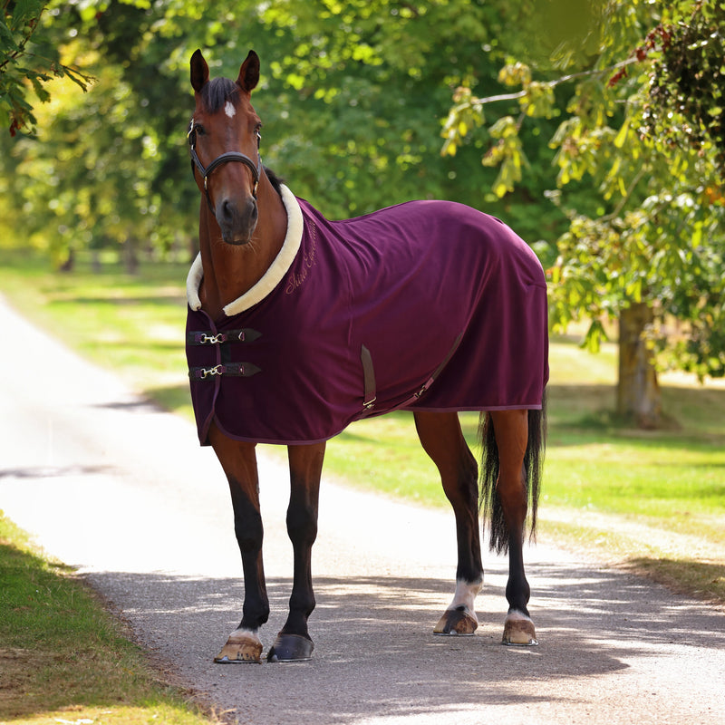 Load image into Gallery viewer, 10227 - Shires Deluxe Fleece Rug
