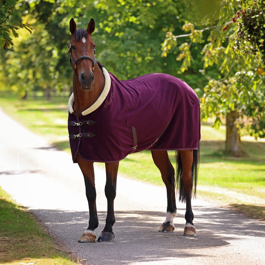 10227 - Shires Deluxe Fleece Rug