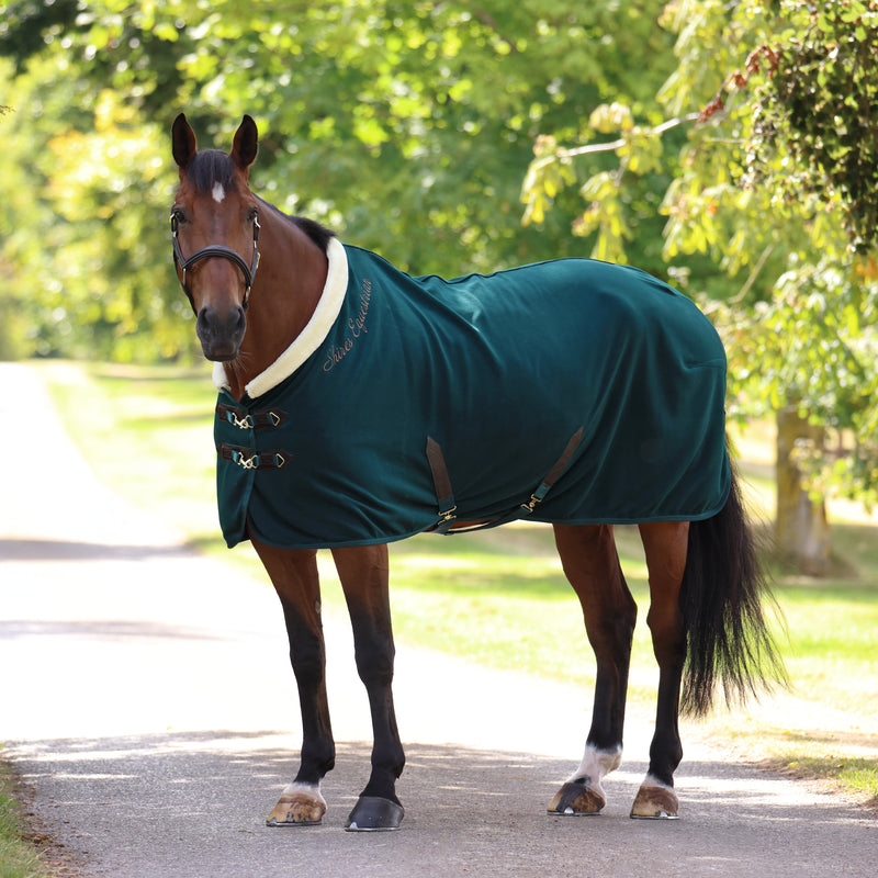Load image into Gallery viewer, 10227 - Shires Deluxe Fleece Rug
