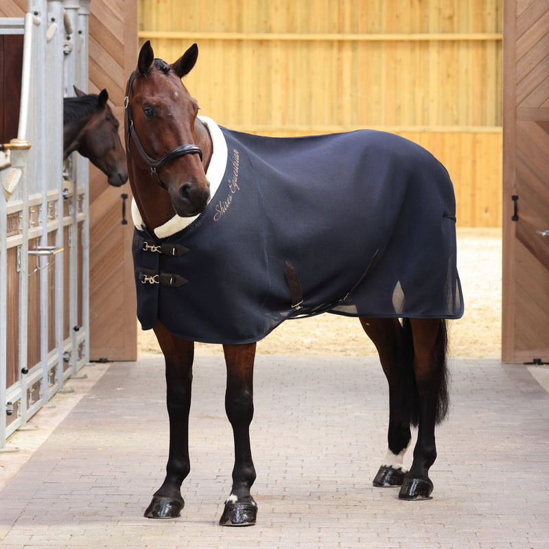 Load image into Gallery viewer, 10257 - Shires Deluxe Air Motion Cooler
