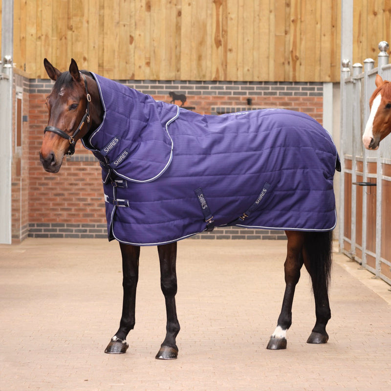Load image into Gallery viewer, 10462 - Tempest Original 100 Stable Rug &amp; Neck
