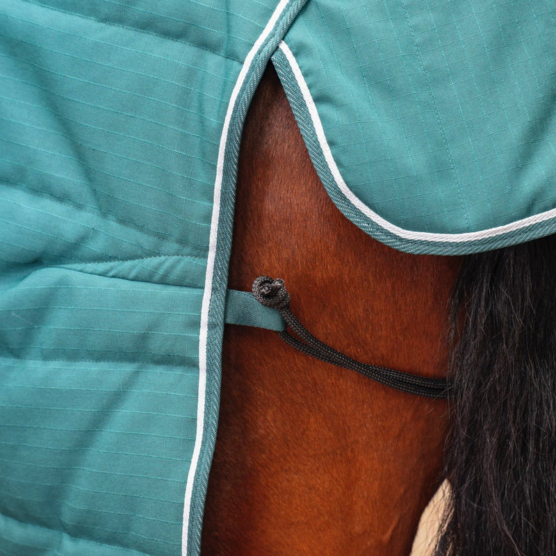 Load image into Gallery viewer, 10463 - Shires Tempest Original 200 Stable Rug - Ashurst Equestrian &amp; Country
