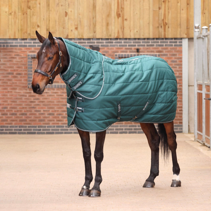 Load image into Gallery viewer, 10465 - Tempest Original 200 Stable Rug &amp; Neck
