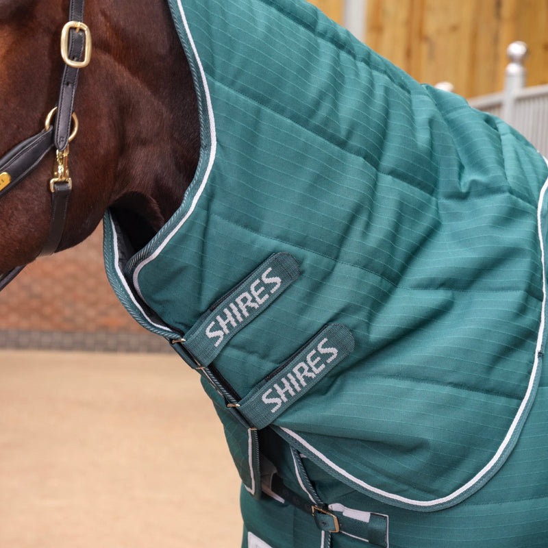 Load image into Gallery viewer, 10465 - Tempest Original 200 Stable Rug &amp; Neck
