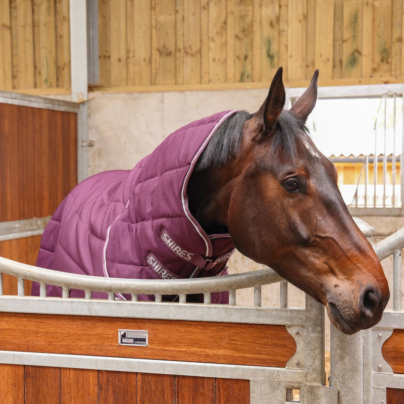Load image into Gallery viewer, 10467 - Shires Tempest Original 300 Combo Stable Rug
