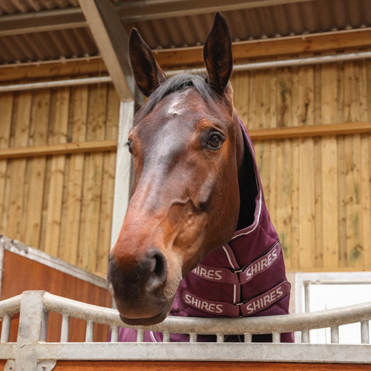 10467 - Shires Tempest Original 300 Combo Stable Rug