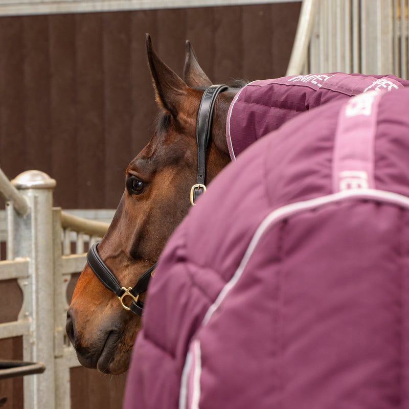Load image into Gallery viewer, 10467 - Shires Tempest Original 300 Combo Stable Rug
