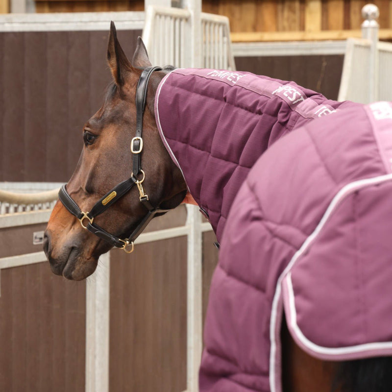 Load image into Gallery viewer, 10468 - Tempest Original 300 Stable Rug &amp; Neck - Ashurst Equestrian &amp; Country

