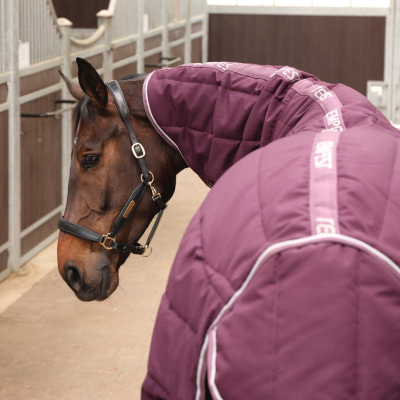 Load image into Gallery viewer, 10468 - Tempest Original 300 Stable Rug &amp; Neck
